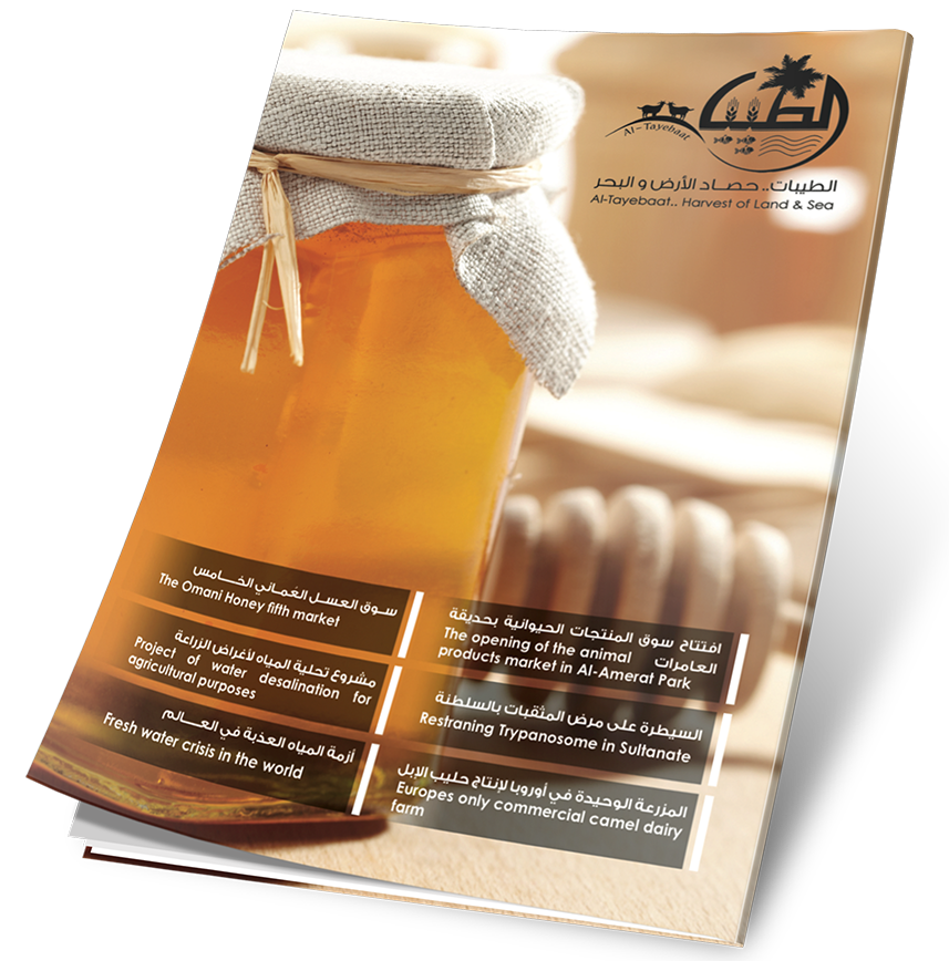 غلاف العدد 14